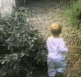 kid2.gif